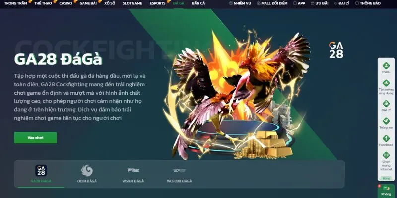 Sân chơi đá gà được nhiều người chơi yêu thích tại sảnh 